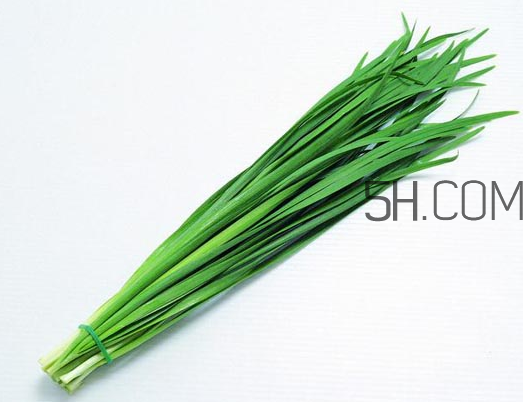 秋天吃韭菜好嗎？韭菜和莧菜能一起吃嗎？