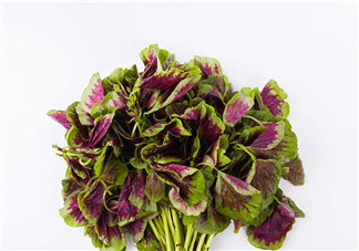 上火能吃咸莧菜嗎？寶寶能吃莧菜嗎？