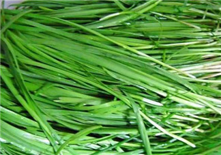 秋天吃韭菜好嗎？韭菜和莧菜能一起吃嗎？