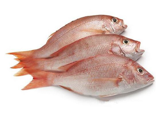 鯛魚多少錢一斤？鯛魚魚骨有什么營養(yǎng)價(jià)值