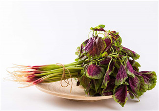莧菜為什么是紅的？莧菜是涼性的嗎？