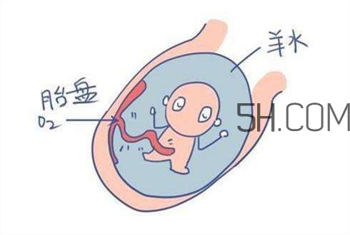 怎么防止羊水早破？羊水早破的危害