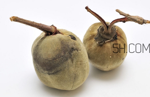猴面包樹(shù)果實(shí)好吃嗎？猴面包樹(shù)果實(shí)怎么吃