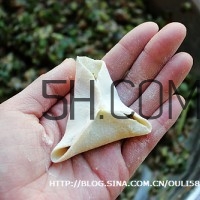 餃子和面用熱水還是冷水？餃子和面要醒多長時(shí)間？