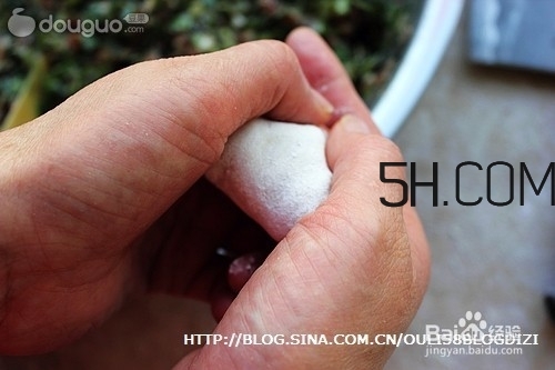 怎么包餃子快又好看？十種家常包餃子的方法~