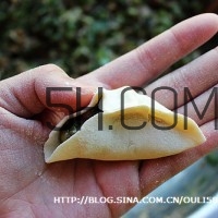 餃子和面用熱水還是冷水？餃子和面要醒多長時(shí)間？