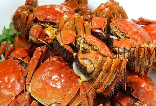 孕婦吃螃蟹多久流產(chǎn)？孕婦吃多少螃蟹會(huì)流產(chǎn)？