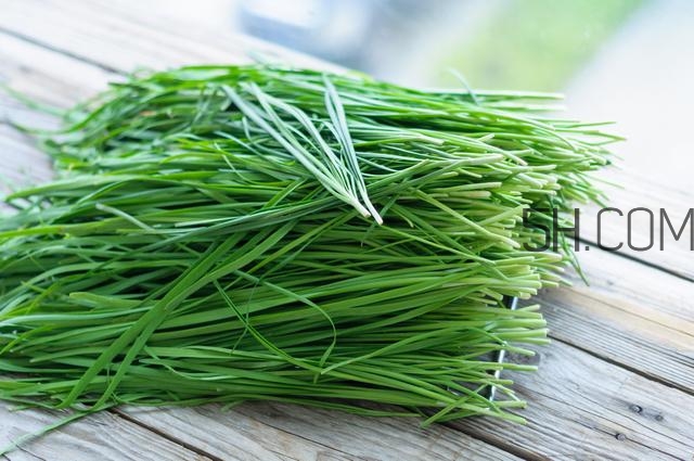 怎么包餃子快又好看？十種家常包餃子的方法~