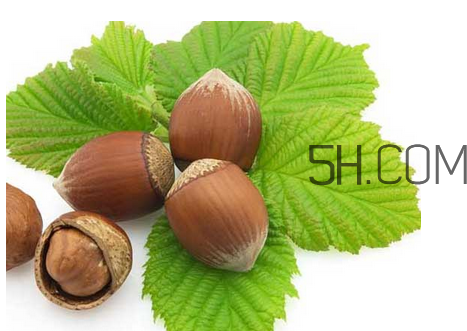 榛子可以用烤箱烤嗎？用烤箱烤榛子怎么烤？