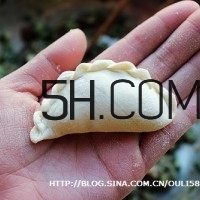 怎么包餃子快又好看？十種家常包餃子的方法~