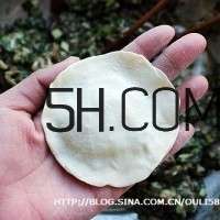 怎么包餃子快又好看？十種家常包餃子的方法~