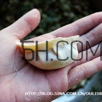 餃子和面用熱水還是冷水？餃子和面要醒多長時(shí)間？