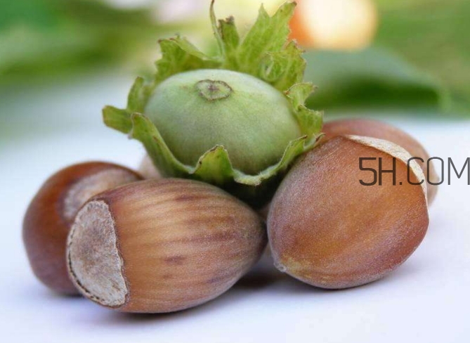 榛子生吃好還是熟吃好？榛子怎么吃營養(yǎng)價值高？