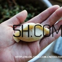 怎么包餃子快又好看？十種家常包餃子的方法~