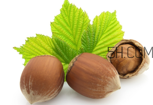 榛子的皮可以吃嗎？榛子的皮怎么處理？