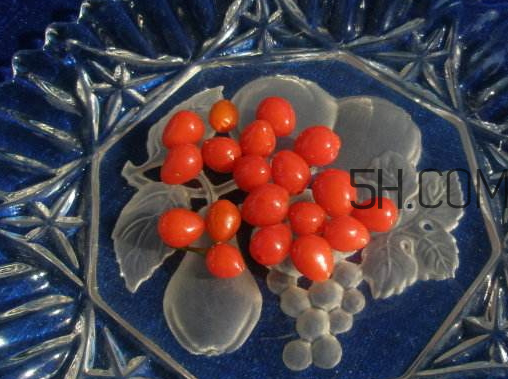 野生枸杞有毒嗎 野生枸杞孕婦能吃嗎 野生枸杞有毒嗎 野生枸杞孕婦能吃嗎