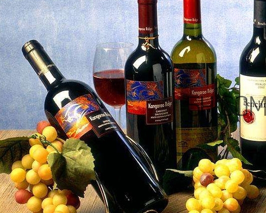 小孩能不能喝葡萄酒？高血糖能不能喝葡萄酒