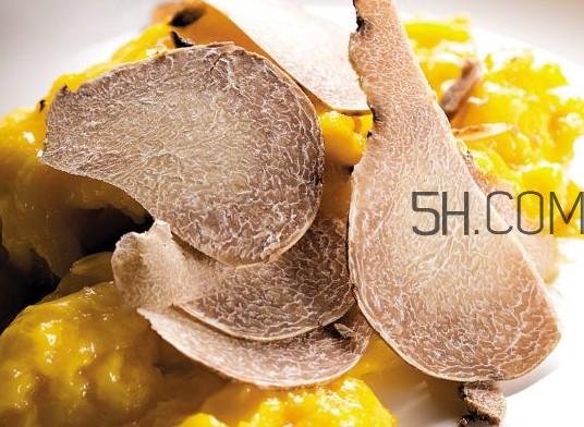 白松露怎么吃？白松露可以曬干保存嗎