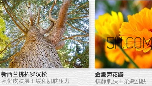the saem得鮮眼霜適合什么年齡？得鮮眼霜怎么樣？