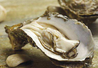 海蠣子是生蠔嗎？海蠣子和生蠔的區(qū)別