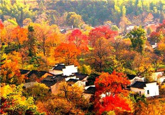 秋季滋補養(yǎng)生越補越好嗎？2017年秋天是幾月份？