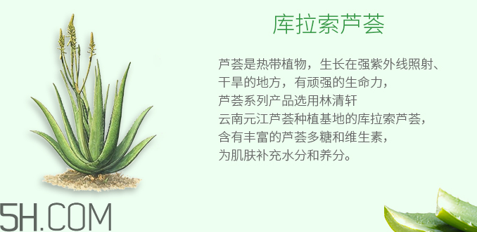 林清軒蘆薈面膜泥怎么樣？林清軒蘆薈面膜泥測(cè)評(píng)