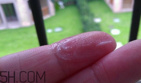 百雀羚乳液多少錢(qián)一瓶？百雀羚乳液專柜價(jià)格