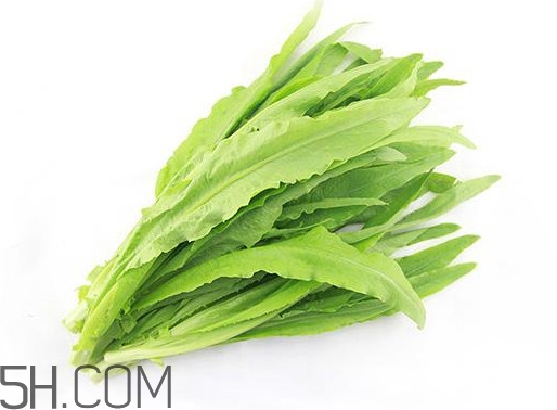 油麥菜是轉(zhuǎn)基因蔬菜嗎？油麥菜是發(fā)物嗎