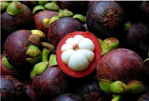 山竹吃多了有什么壞處？秋天吃山竹上火嗎？