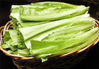 西紅柿和油麥菜能一起吃嗎？油麥菜能包餃子嗎