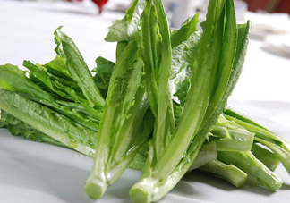 油麥菜為什么叫油麥菜？油菜和油麥菜的區(qū)別