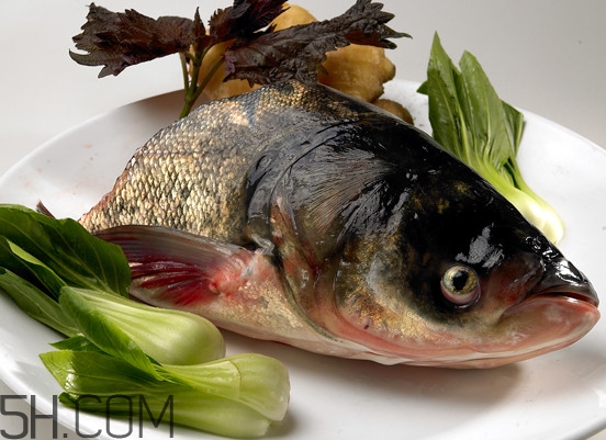 胖頭魚(yú)有什么營(yíng)養(yǎng)？胖頭魚(yú)是鰱魚(yú)嗎