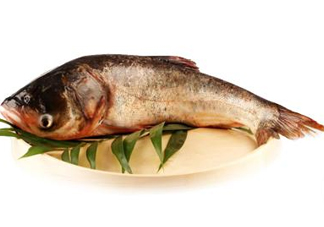 胖頭魚可以做魚丸嗎？胖頭魚可以做酸菜魚嗎