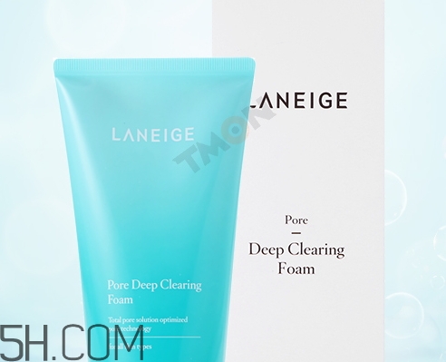 蘭芝洗面奶哪款好用_蘭芝洗面奶有幾種 蘭芝洗面奶哪款好用_蘭芝洗面奶有幾種