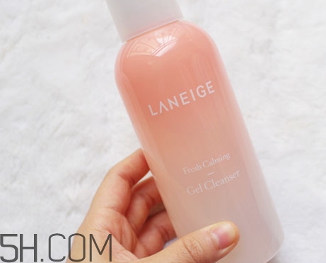 蘭芝洗面奶哪款好用_蘭芝洗面奶有幾種 蘭芝洗面奶哪款好用_蘭芝洗面奶有幾種