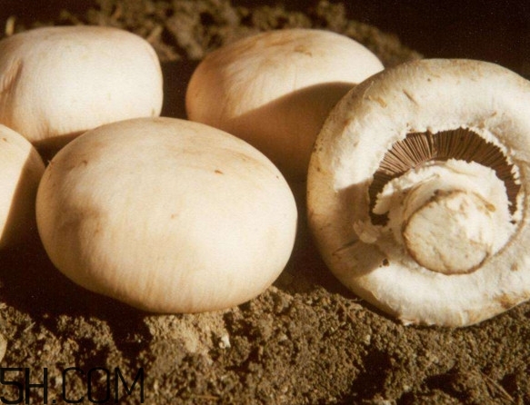 口蘑怎么吃？口蘑不能和什么一起吃