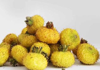 刺梨能降血壓嗎？刺梨是哪里的特產(chǎn)