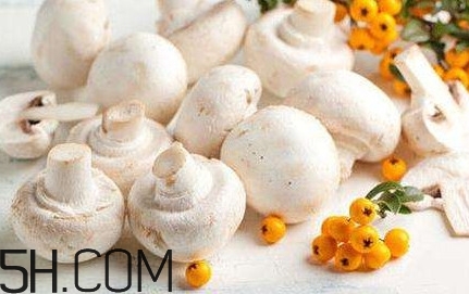 口蘑怎么吃？口蘑不能和什么一起吃