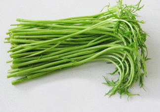 藜蒿多少錢一斤？藜蒿和蘆蒿是同一種菜嗎？