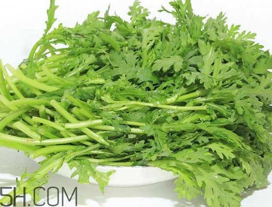 皇帝菜與什么煲湯好吃？皇帝菜性寒嗎