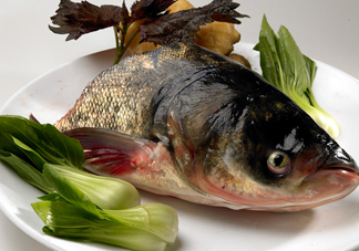 胖頭魚吃什么？胖頭魚怎么殺