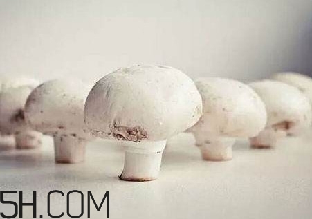 口蘑怎么吃？口蘑不能和什么一起吃