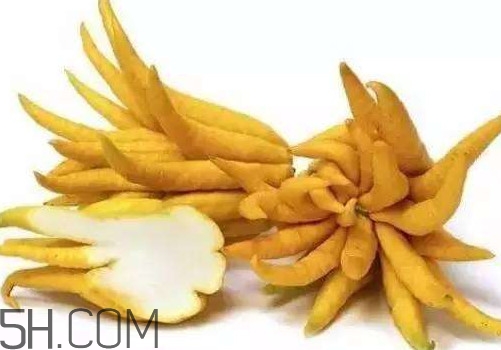 佛手柑是佛手瓜嗎？佛手柑和佛手瓜的區(qū)別
