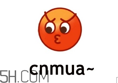 cnmua是什么意思？cnmua無(wú)水印表情包