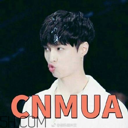cnmua是什么意思？cnmua無(wú)水印表情包