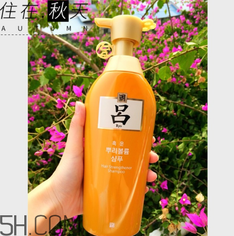 黃呂洗發(fā)水怎么樣？黃呂洗發(fā)水適合人群