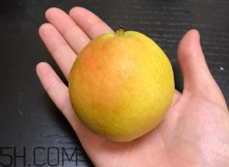 南果梨是發(fā)物嗎？南果梨是酸性還是堿性