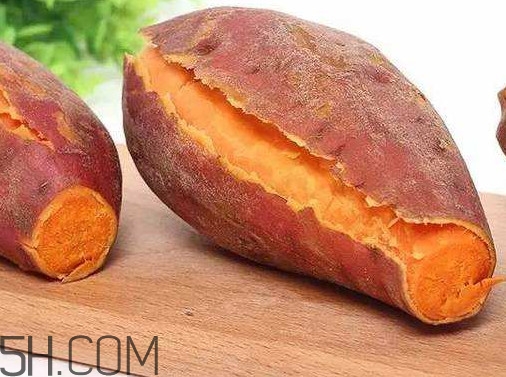 紅薯是蒸的好還是煮的好？紅薯是根還是莖