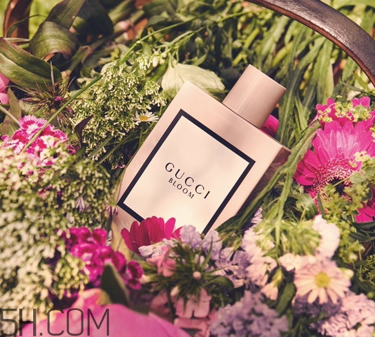 gucci bloom香水多少錢？gucci bloom香水專柜價格