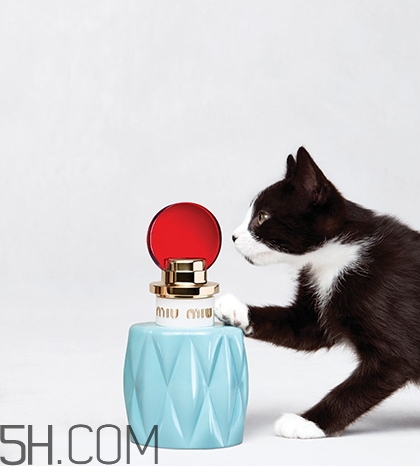 miumiu香水什么檔次？miumiu繆繆香水是哪國(guó)的